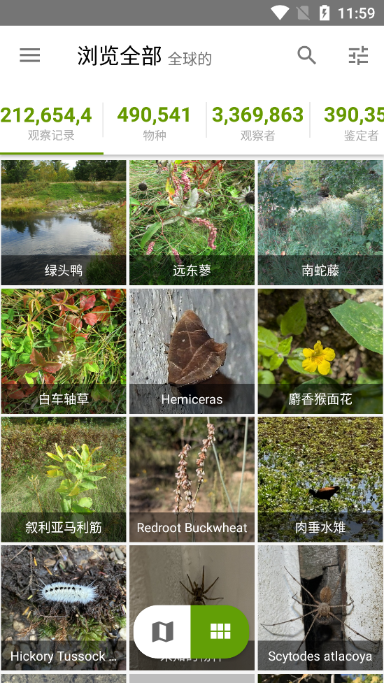 iNaturalist׿v1.30.6ͼ4