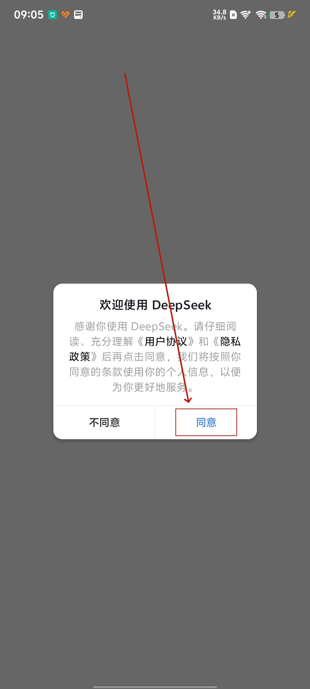 DeepSeek