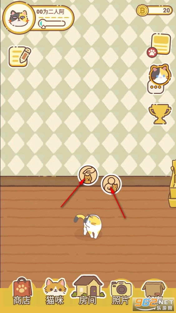 领养一只流浪猫测试版 领养一只流浪猫测试版