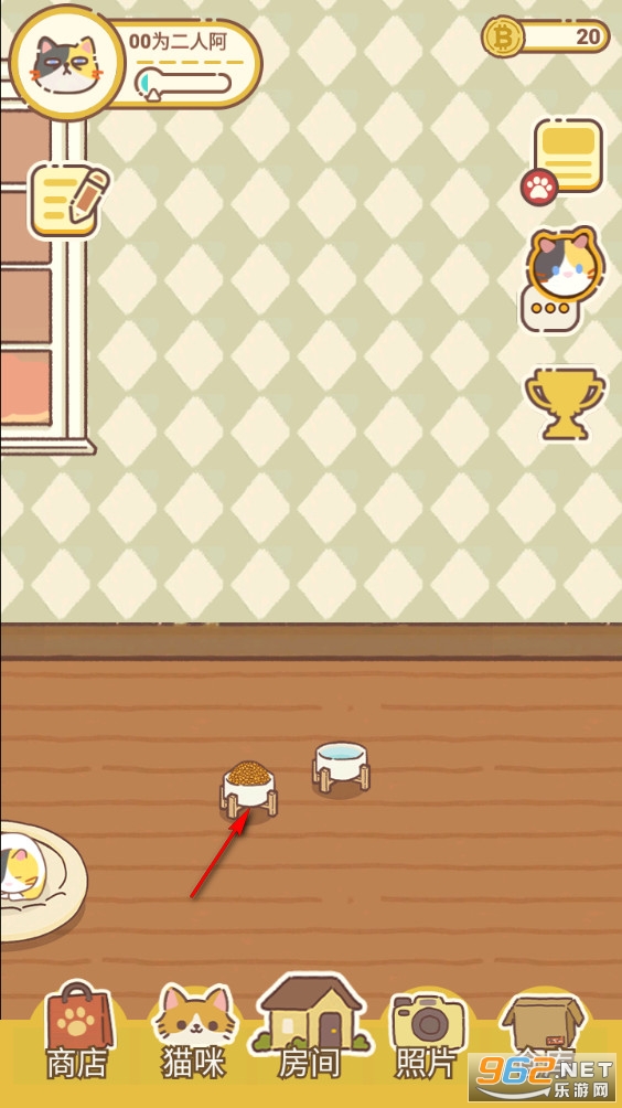 领养一只流浪猫测试版 领养一只流浪猫测试版