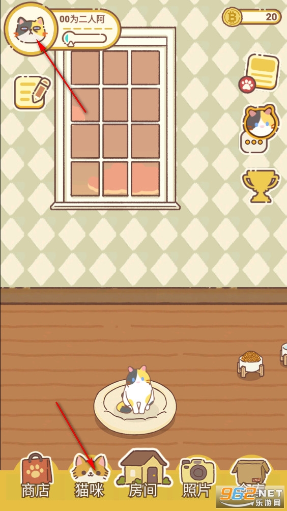 领养一只流浪猫测试版 领养一只流浪猫测试版