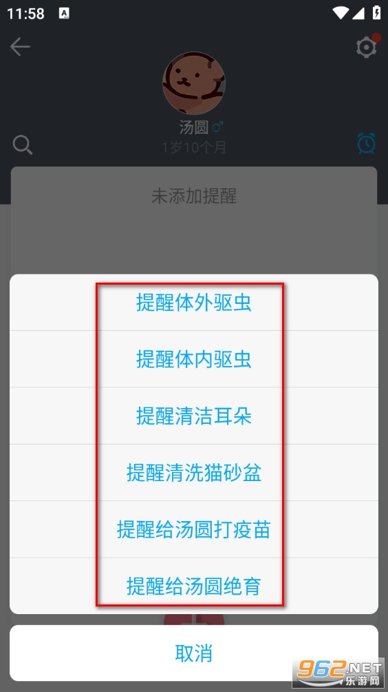 猫咪成长记最新版 猫咪成长记最新版