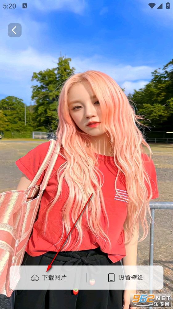 鲸鱼小组件app 鲸鱼小组件app