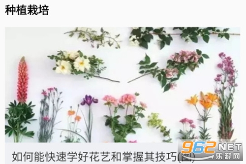 ֲ��ʶ���ֻ���