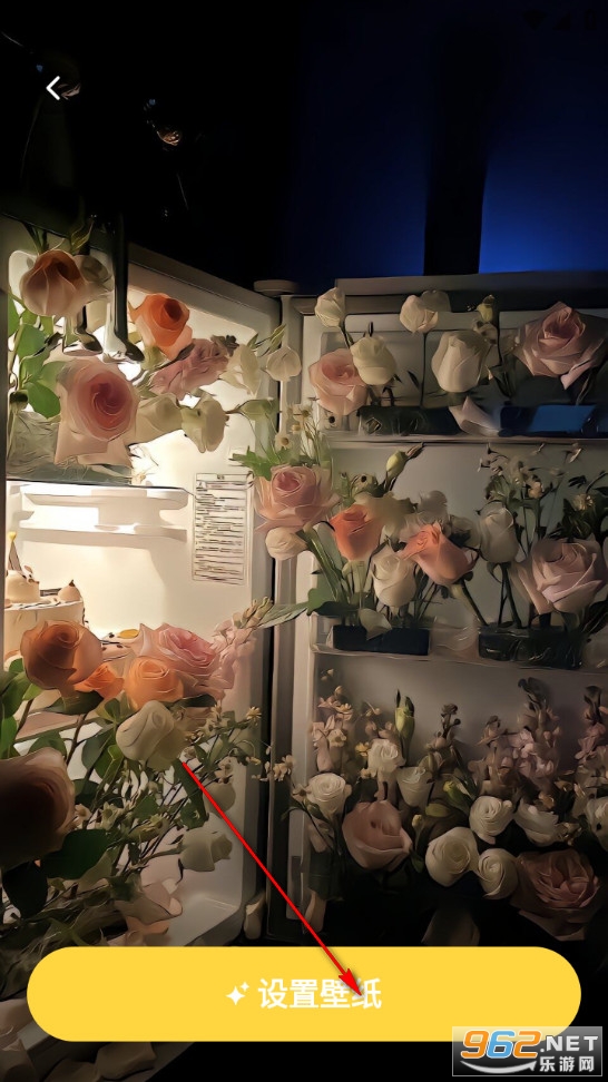 �����ֽapp