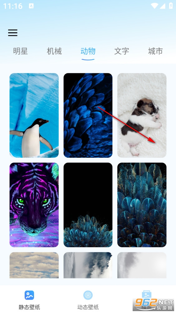 ��̬��ѱ�ֽ�ֻ���