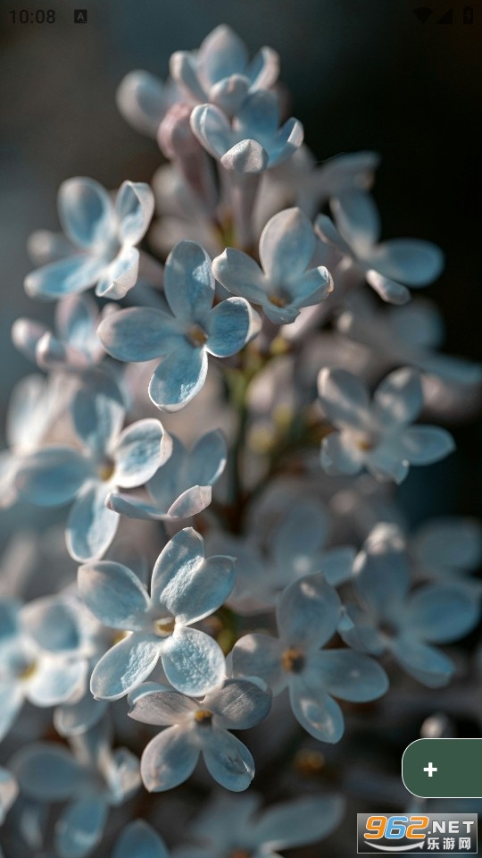 Dock��ֽ��׿��v1.0.127��ͼ3