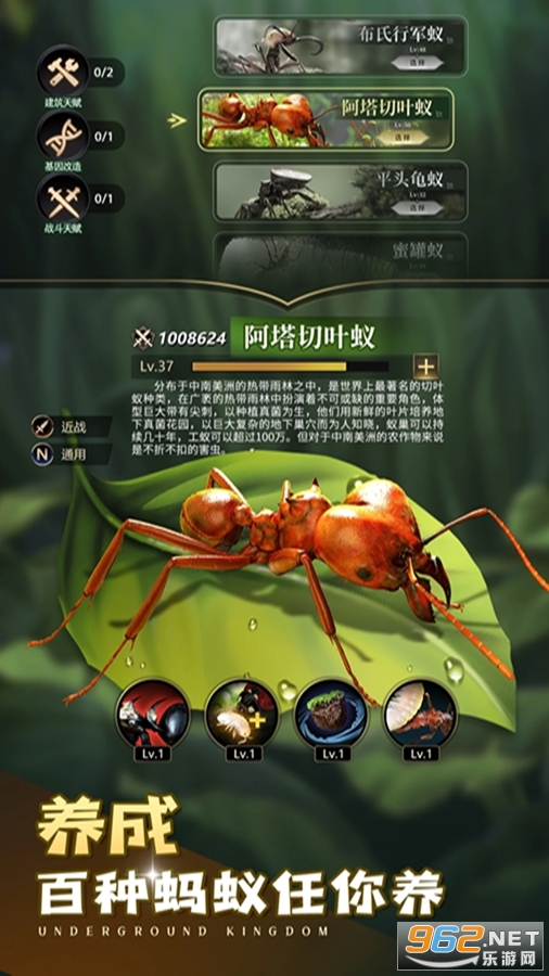 小小蚁国应用宝版本截图3