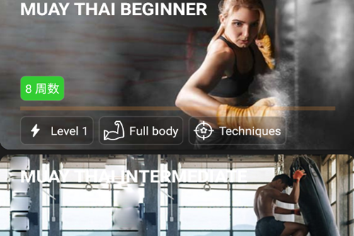 ̩ȭapp(Muay Thai Workout)