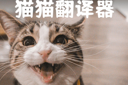 ｻapp