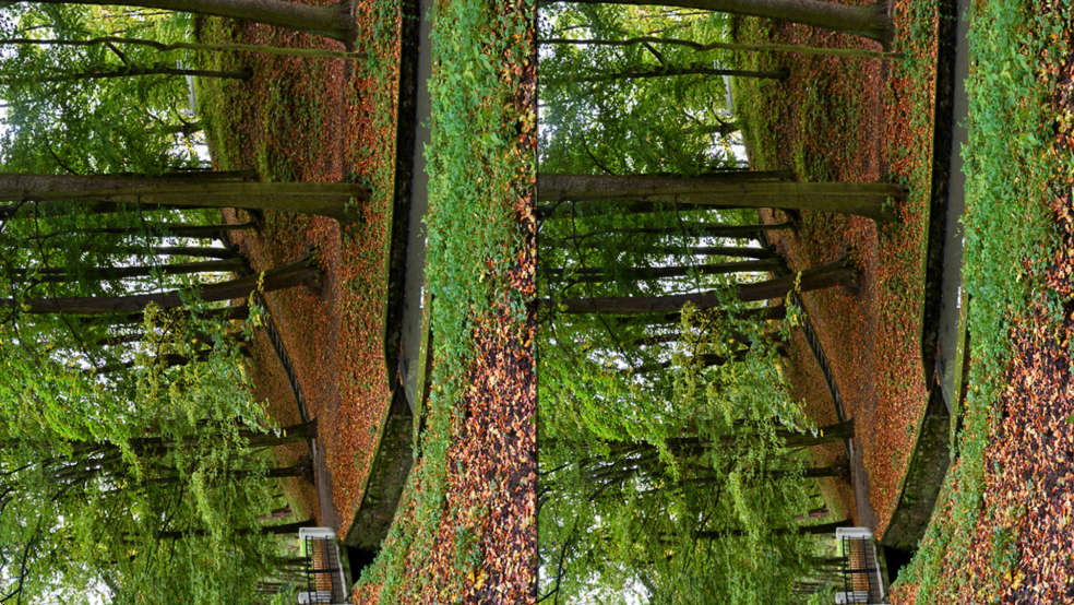 VRƵappv3.0 ֻͼ0