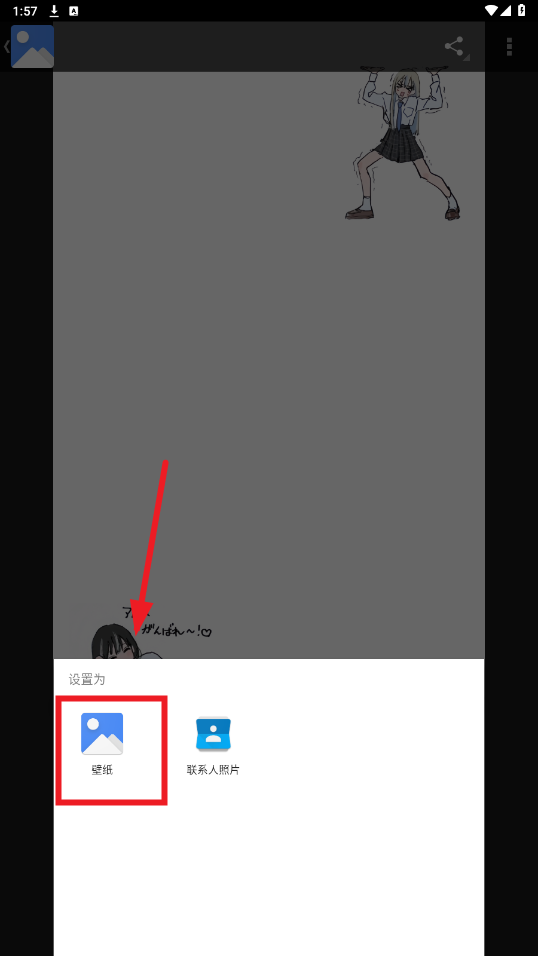 ֽƽ