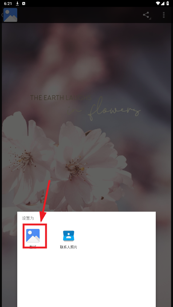 ڼƽ