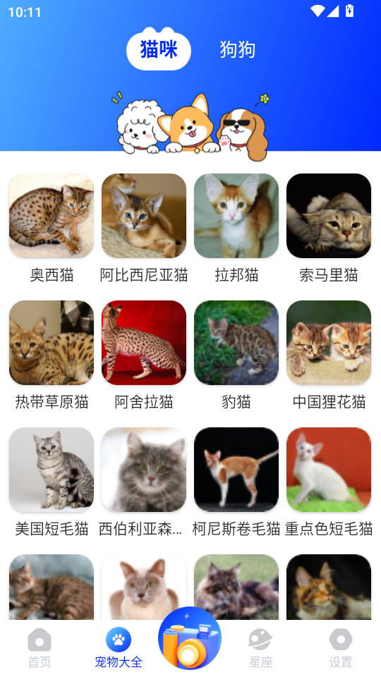 Z(y)gappv1.0.0؈D2