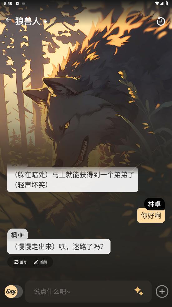 Sayloưv2.2.6ͼ3