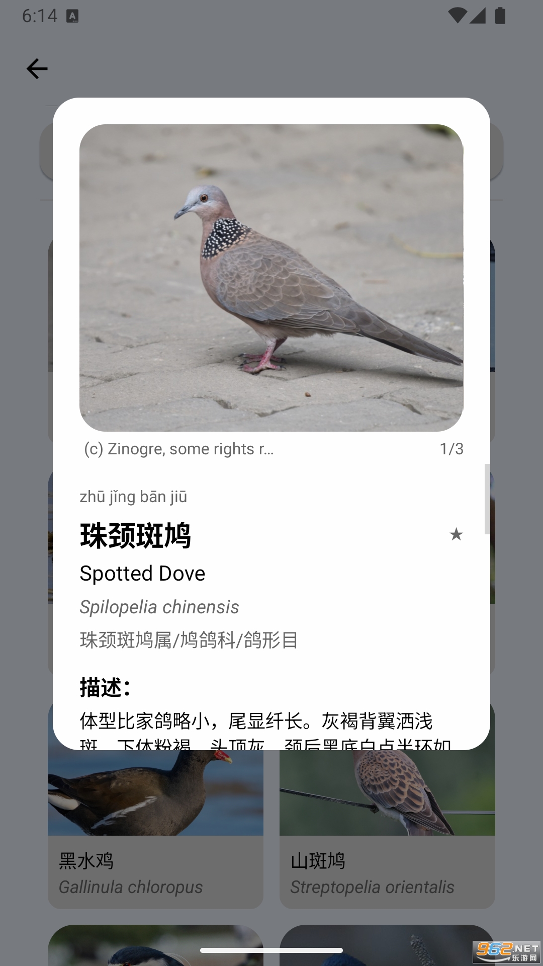 appٷv1.11.2ͼ4