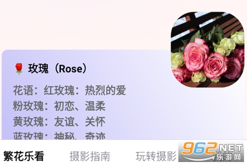 繁花乐看app 繁花乐看app