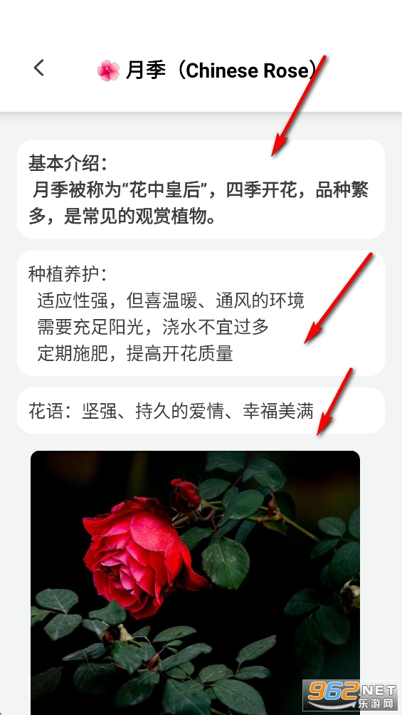 繁花乐看app 繁花乐看app