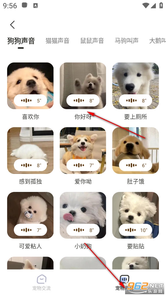 �ȳ跭������׿��