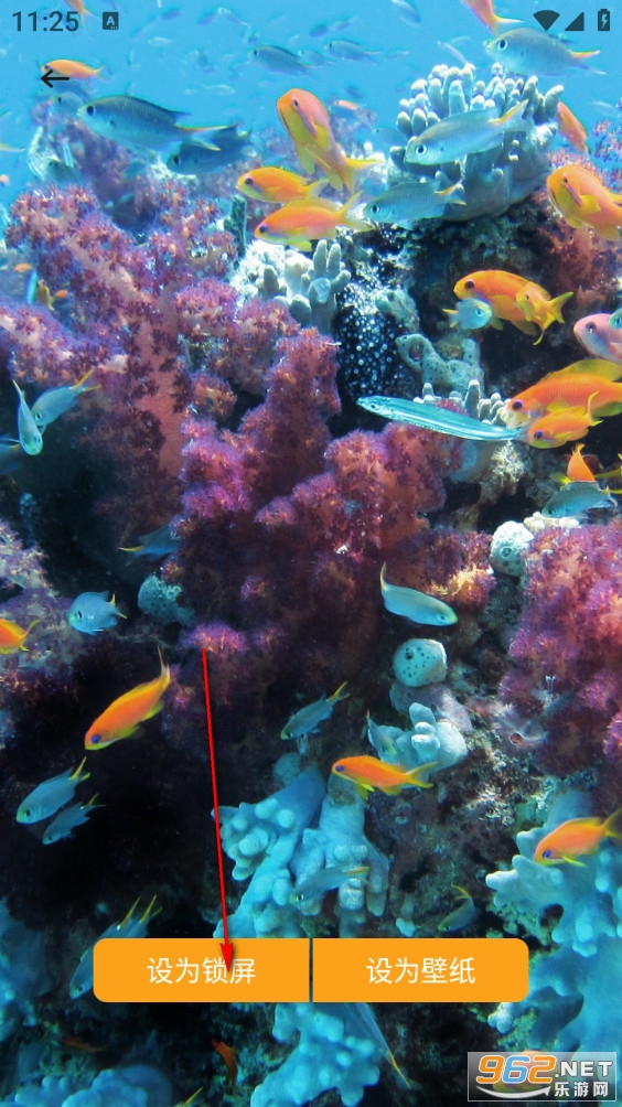 爱酱壁纸免费版 爱酱壁纸免费版