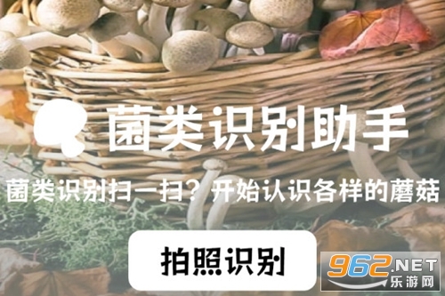 蘑菇识别手机版 蘑菇识别手机版