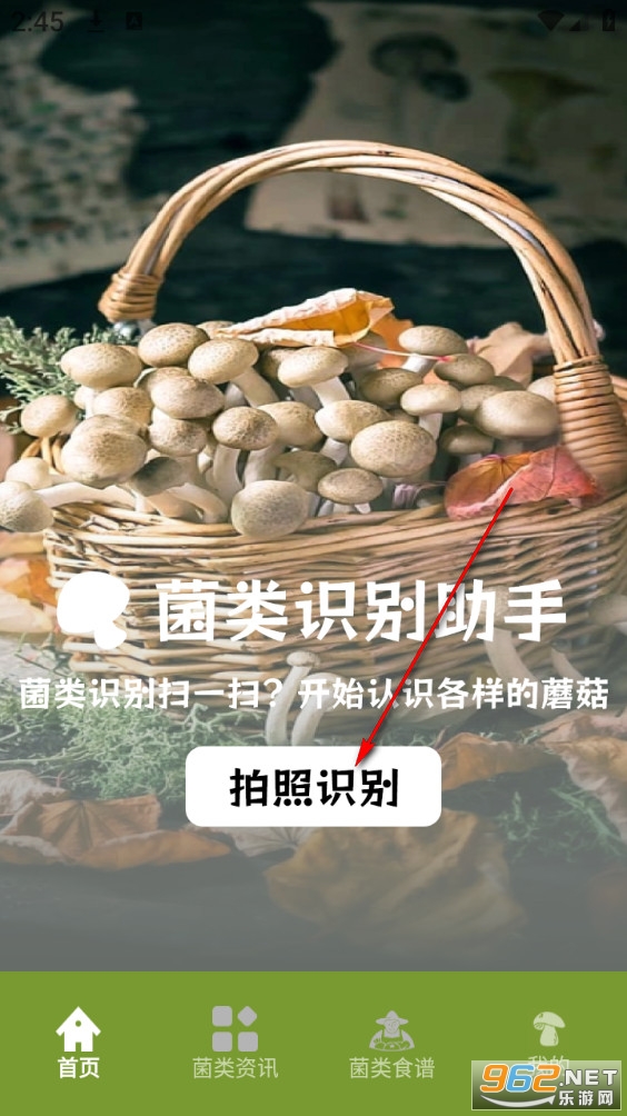 蘑菇识别手机版 蘑菇识别手机版