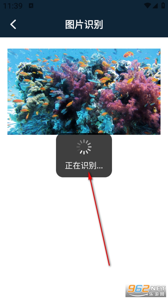 ��������pro��Ѱ�