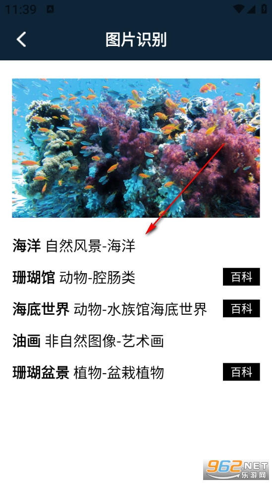 ��������pro��Ѱ�