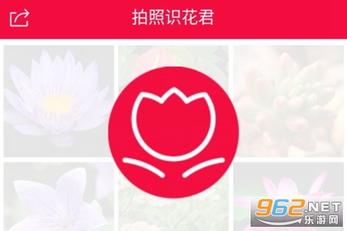 ����ʶ�����ֻ���