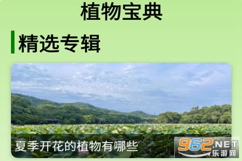 ֲ�ﱦ��ٷ���