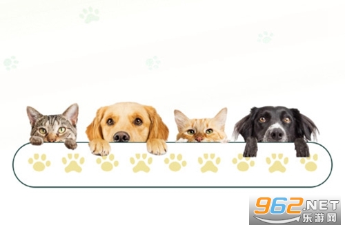 è���������׿��