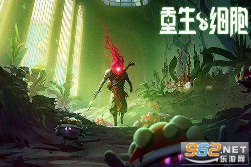 ����ϸ����Ѱ�������