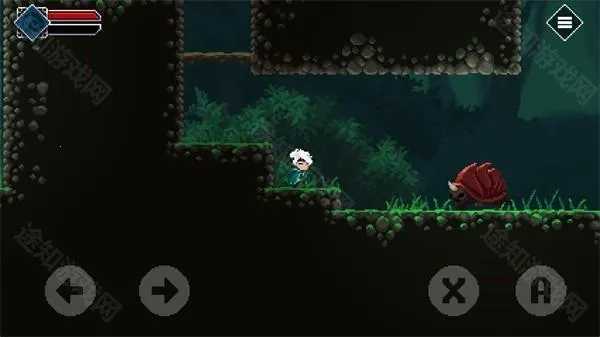 �ֶ�(����ð����Ϸ)