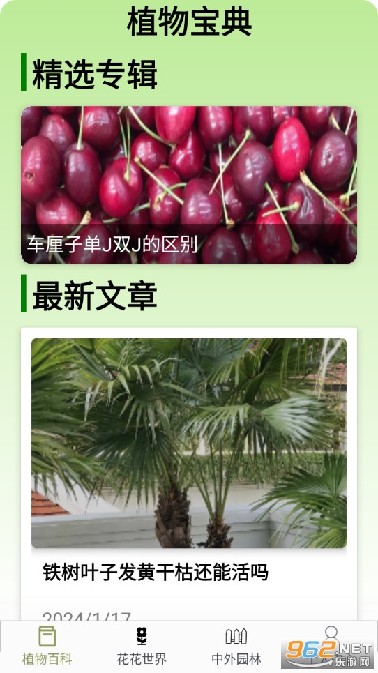 ֲ�ﱦ��ٷ����ͼ0