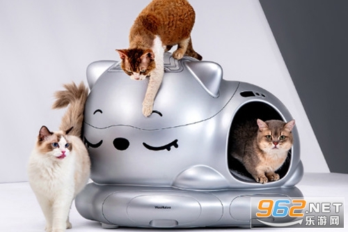 ���౦���ٷ���