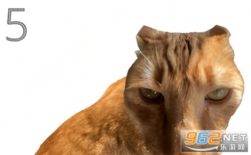 �o؈��ë�Α�