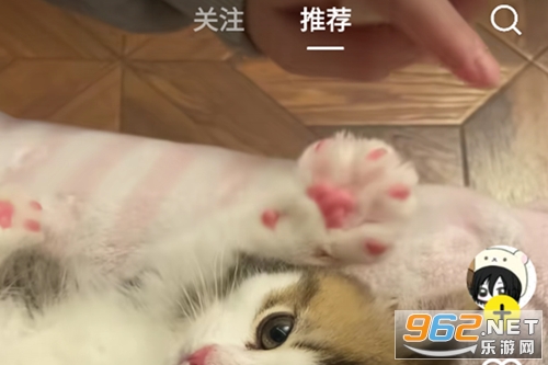 �S׃�ٷ����°汾