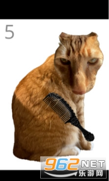 �o؈��ë�Α�v1.0 �֙C��؈D1