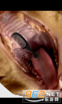 �o؈��ë�Α�v1.0 �֙C��؈D2