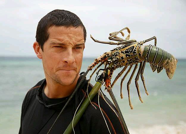 站在食物链顶端的男人 领略"舌尖上的贝爷"