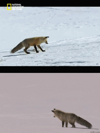 320_425竖版 竖屏gif 动态图 动图