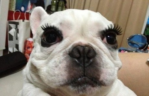 每日搞笑囧图(10月28日) 超市偶遇辣妹火爆身材 这样出来买菜太惹火了