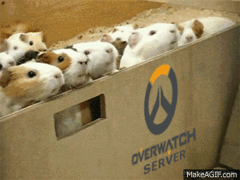 邪恶gif动图守望先锋屁股周末福利内涵图